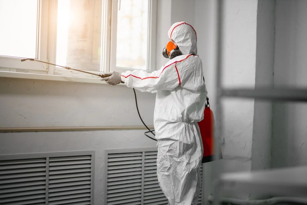 Professional mold remediation services in Oxbow, OR
